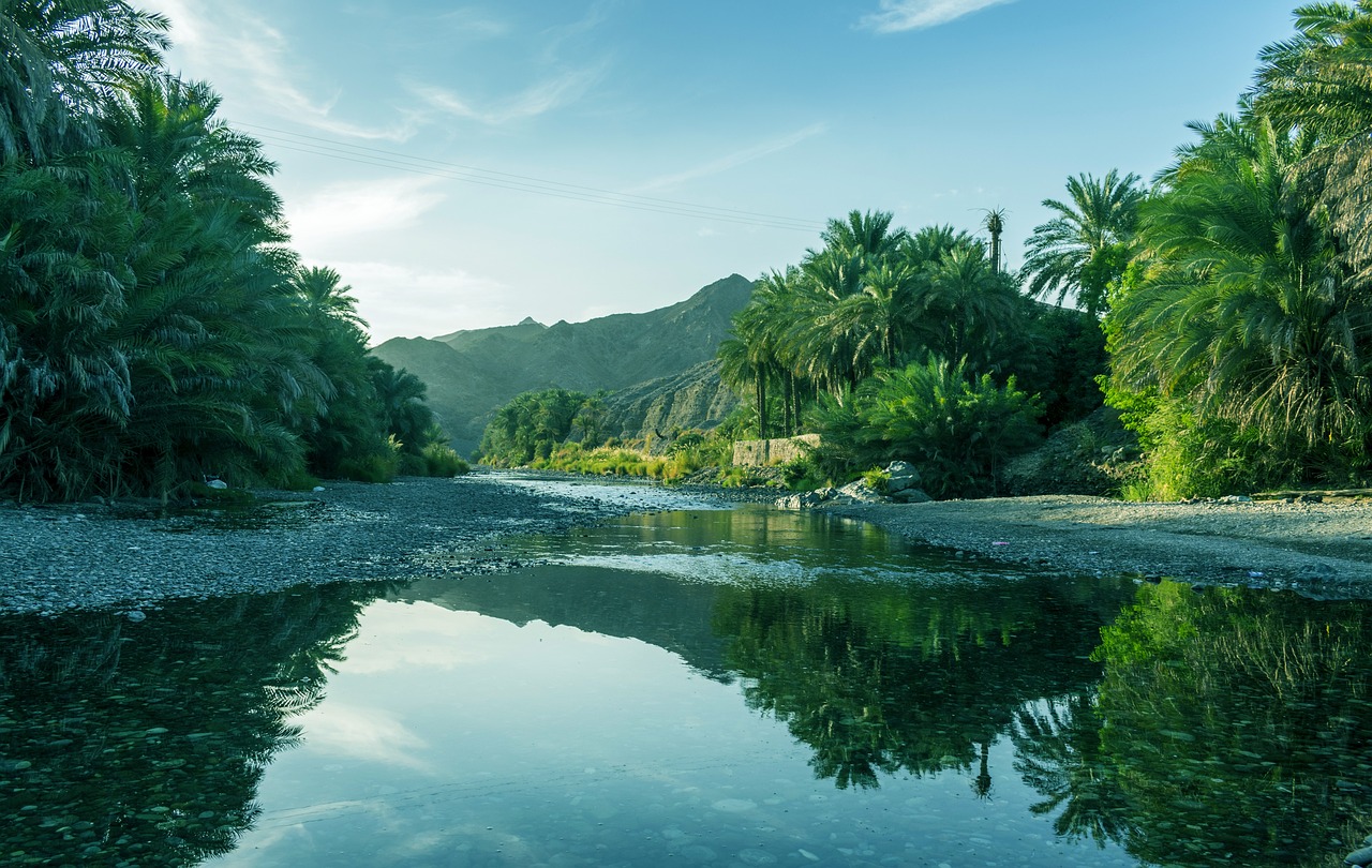 Exploring Salalah, Oman: Personal Stories of Hidden Gems You Must See